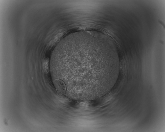 X0000099930127200806061503