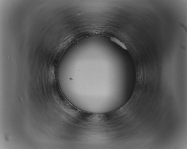 X0000099930128200806061503