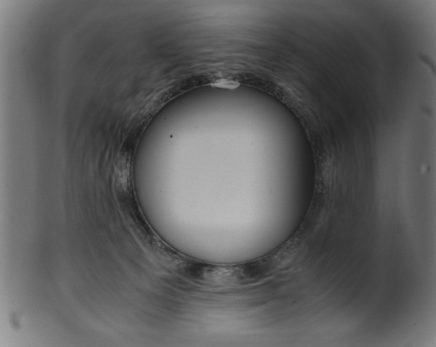 X0000099930129200806061503