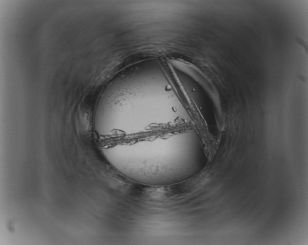 X0000099930131200806061503