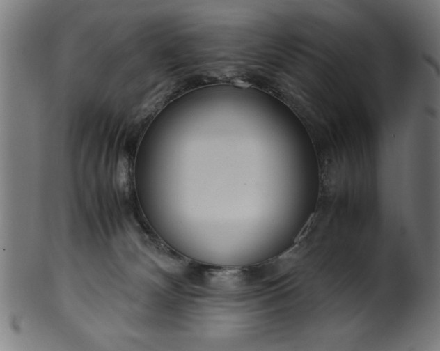 X0000099930132200806061503