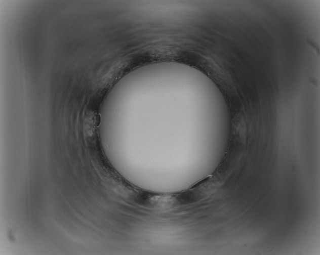 X0000099930133200806061503