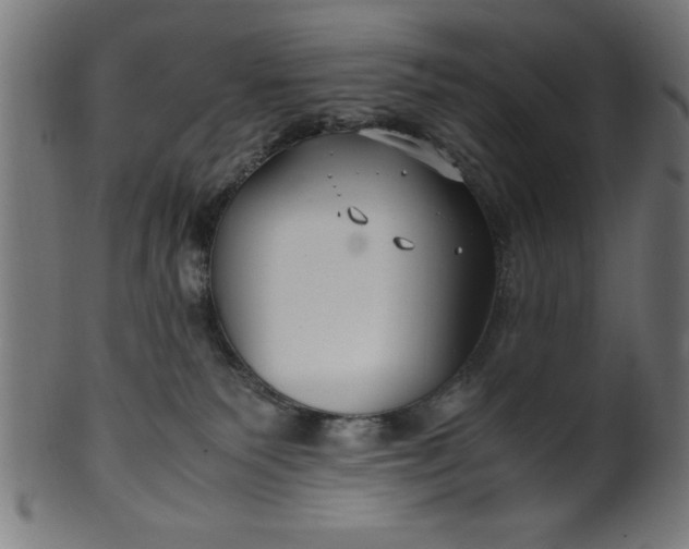 X0000099930135200806061503