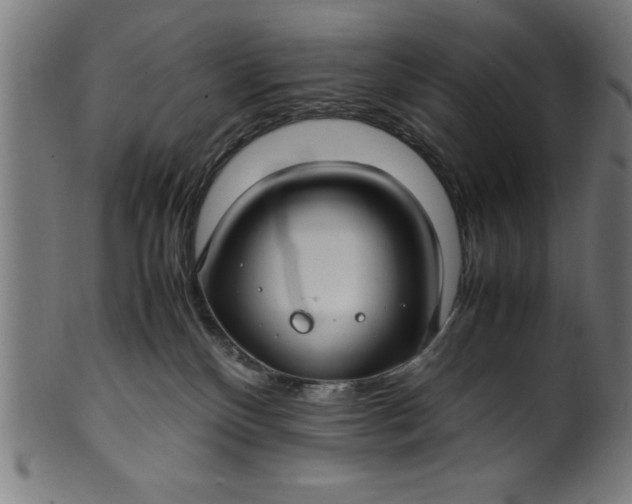 X0000099930136200806061503