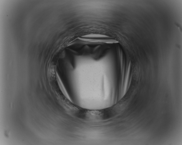 X0000099930137200806061503