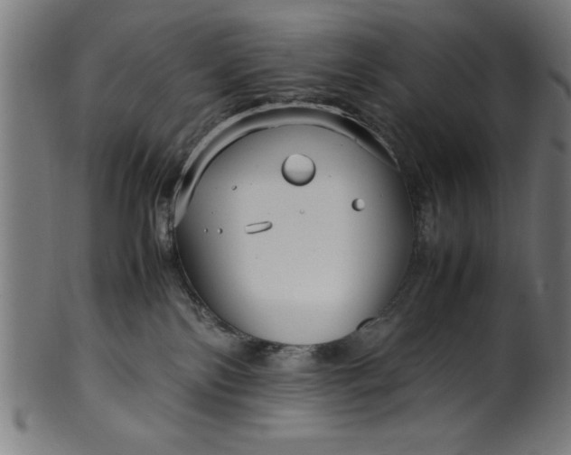 X0000099930138200806061503