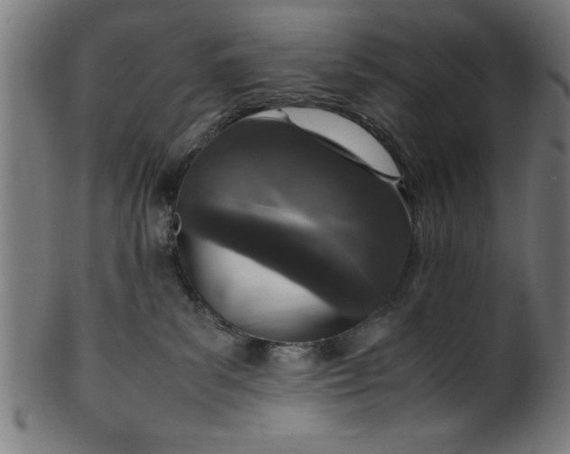 X0000099930139200806061503