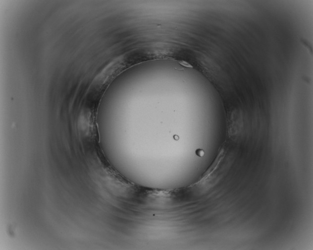 X0000099930140200806061503