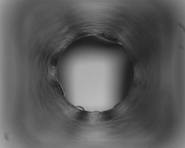 X0000099930141200806061503