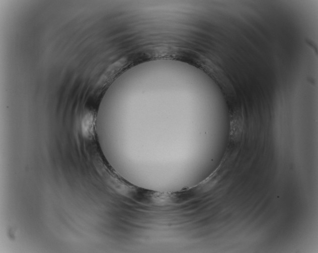 X0000099930142200806061503