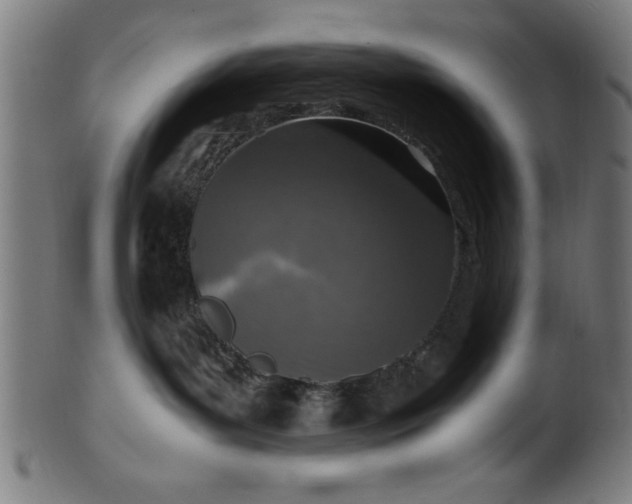 X0000099930143200806061503