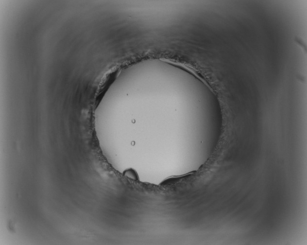 X0000099930144200806061503