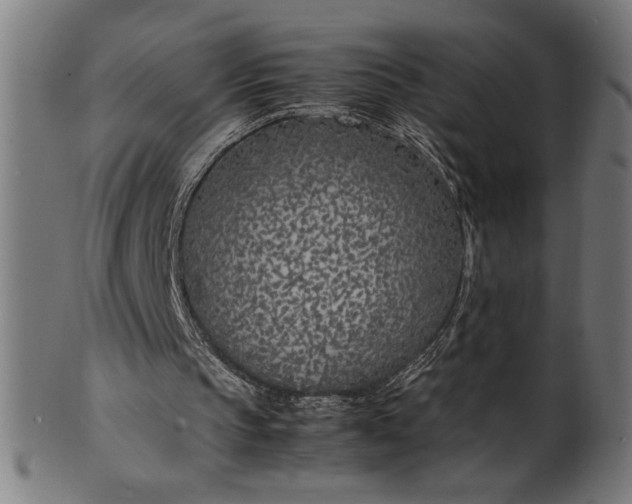 X0000099930145200806061502