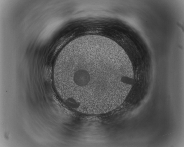 X0000099930146200806061502