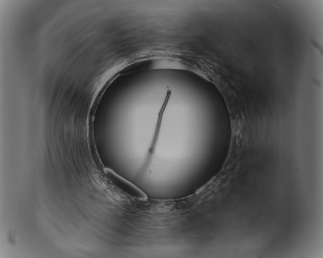 X0000099930148200806061502