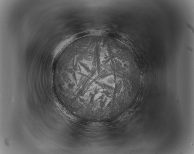 X0000099930149200806061502