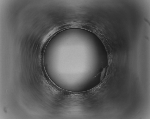 X0000099930150200806061502