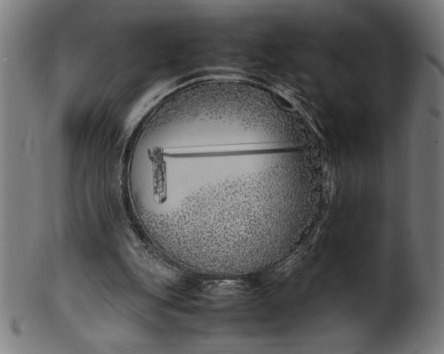 X0000099930151200806061502