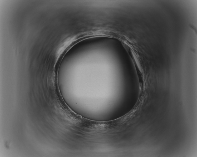 X0000099930152200806061502