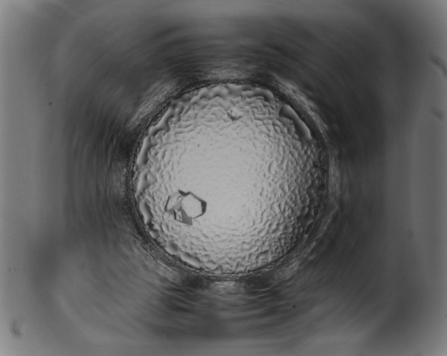 X0000099930153200806061502