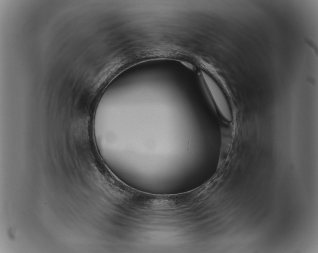 X0000099930154200806061502