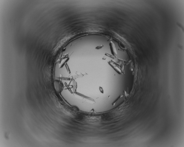 X0000099930155200806061502