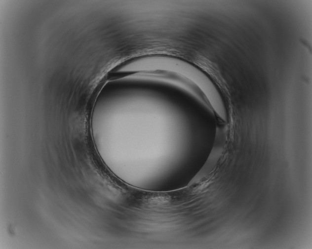 X0000099930156200806061502