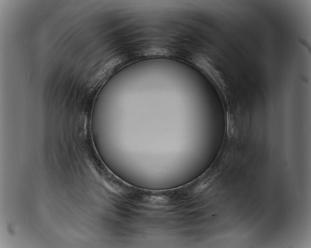 X0000099930157200806061502