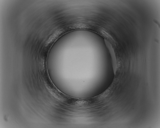 X0000099930158200806061502