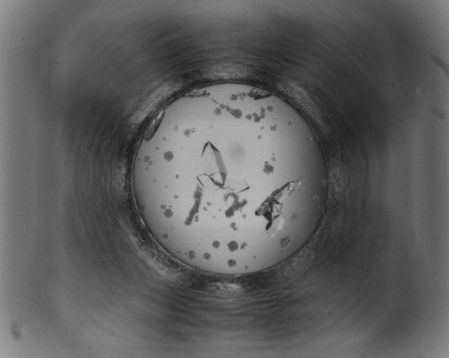 X0000099930159200806061502