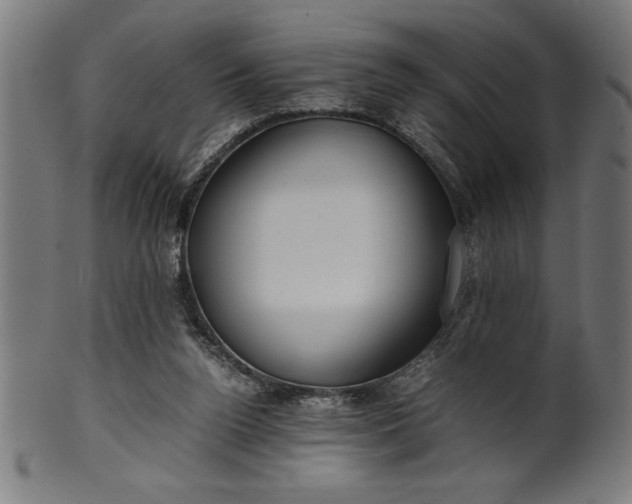 X0000099930160200806061502