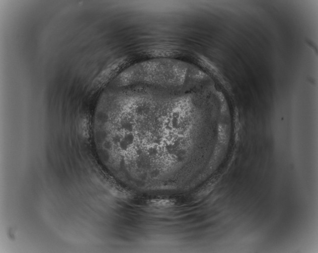 X0000099930161200806061502