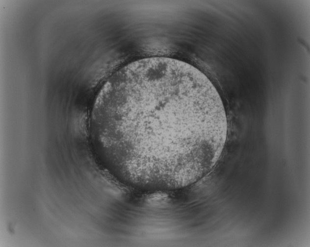 X0000099930162200806061502