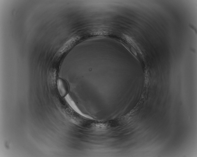 X0000099930163200806061502