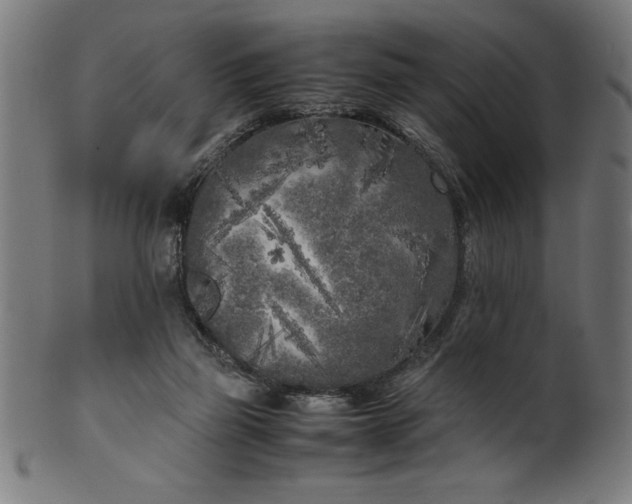 X0000099930165200806061502