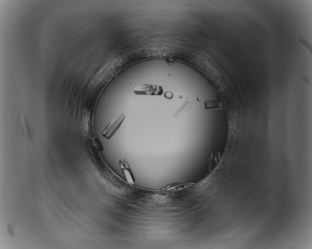 X0000099930166200806061502