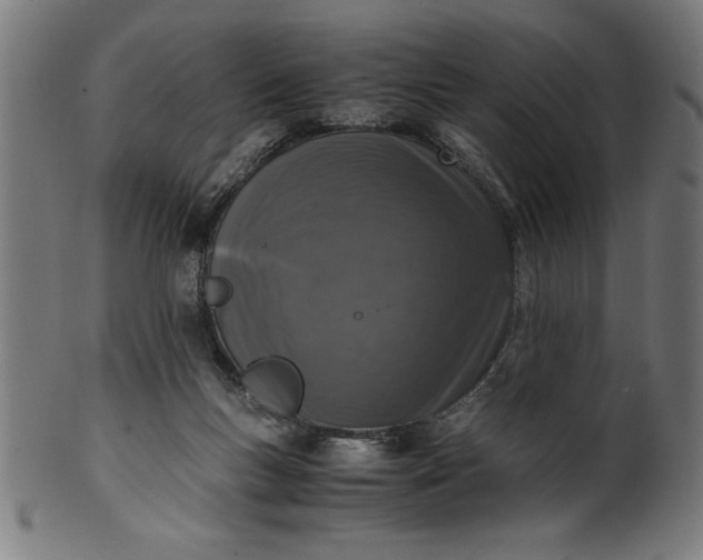 X0000099930167200806061502