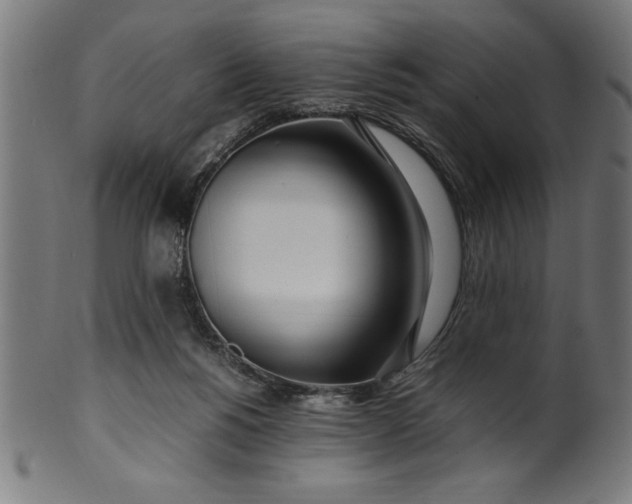 X0000099930168200806061502