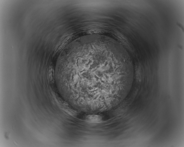 X0000099930169200806061502