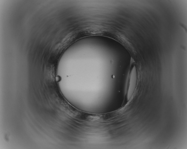 X0000099930170200806061502