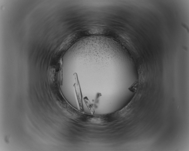 X0000099930171200806061502