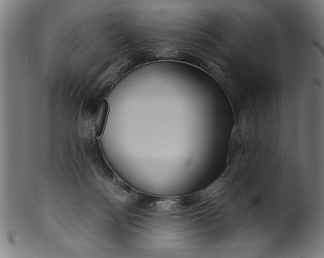 X0000099930172200806061502