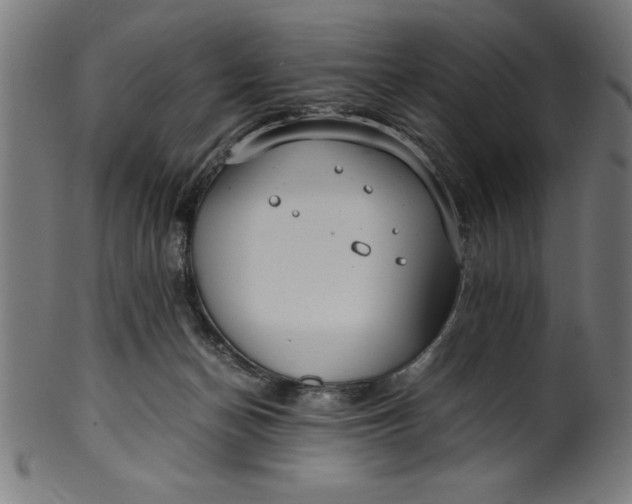 X0000099930174200806061502