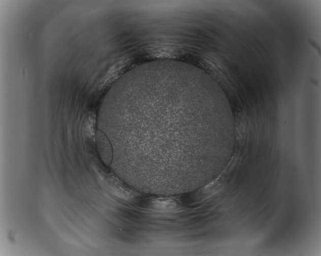 X0000099930175200806061502