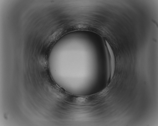 X0000099930176200806061502