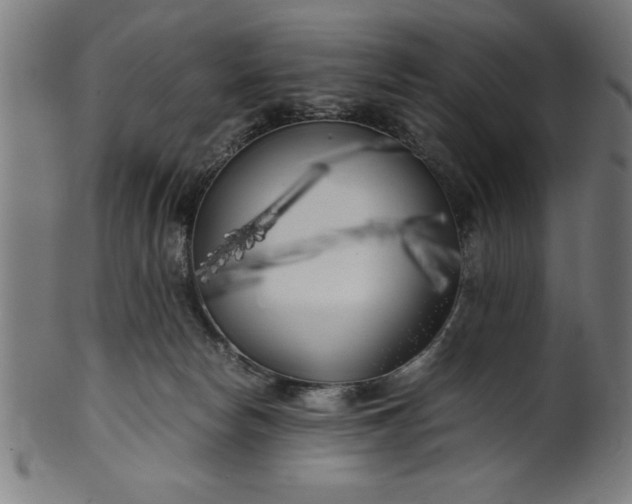 X0000099930178200806061503