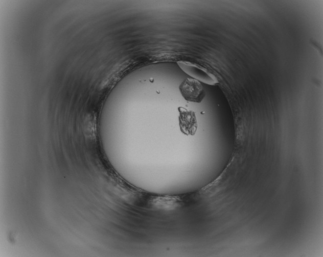 X0000099930179200806061503