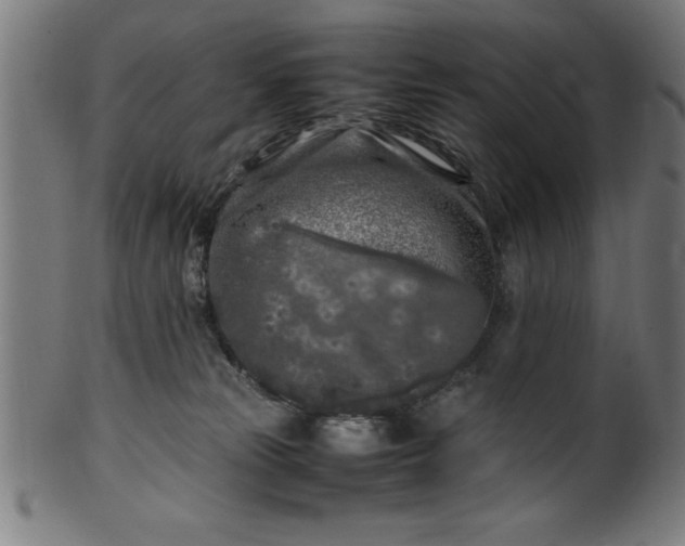 X0000099930181200806061503