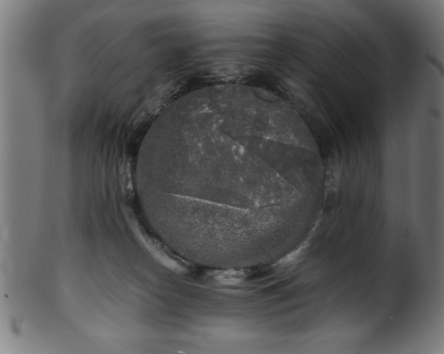 X0000099930182200806061503