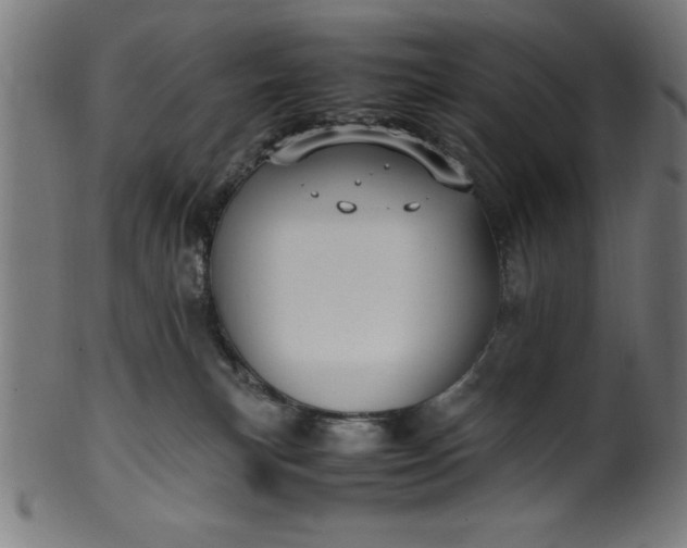 X0000099930183200806061503